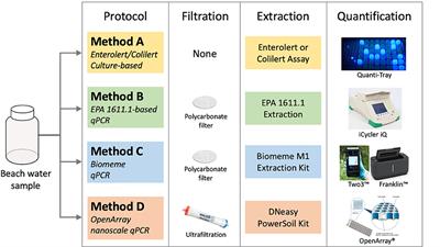 Rapid qPCR-Based Water Quality Monitoring in New York State Recreational Waters